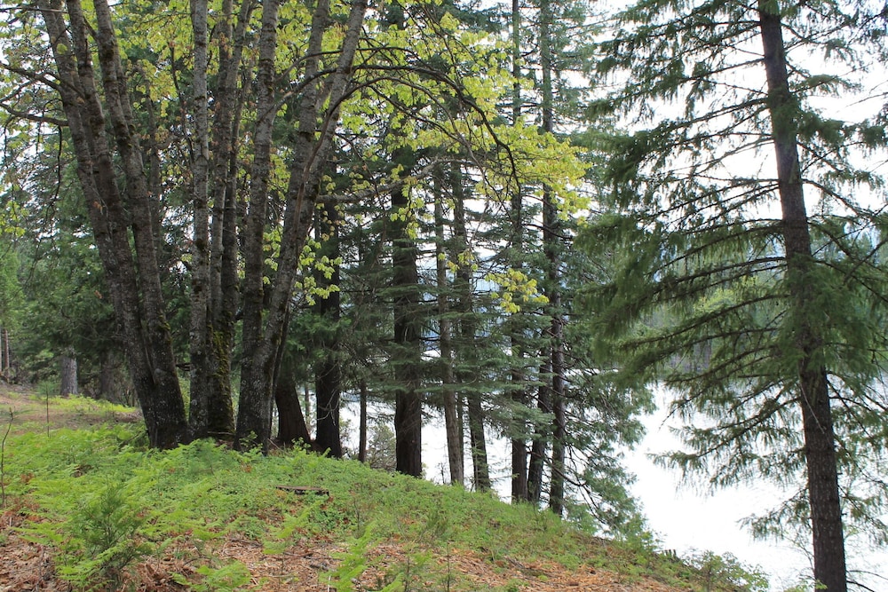 Mount Shasta Resort - photo 97