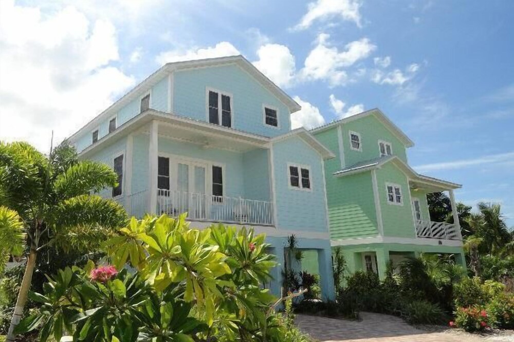 Sand Dollar - featured photo