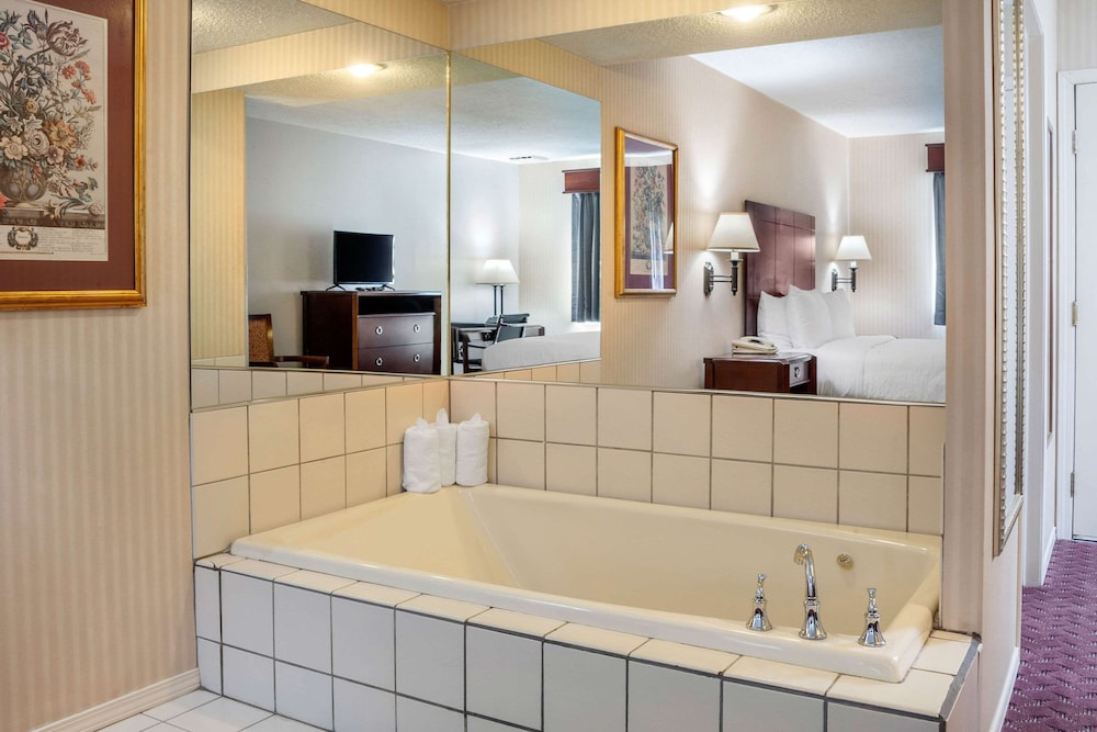 Wintergreen Hotel & Conference Center - photo 46