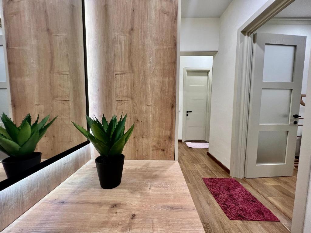 Cozy Apartment Near Holiday Inn