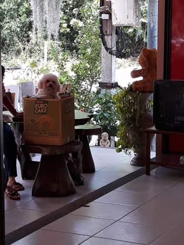 Baanchaolai Chaam Beach in Cha-Am, Thailand