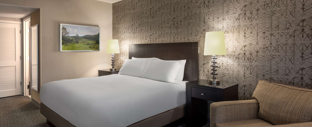 DoubleTree by Hilton Hotel Chicago Wood Dale Elk Grove - photo 11