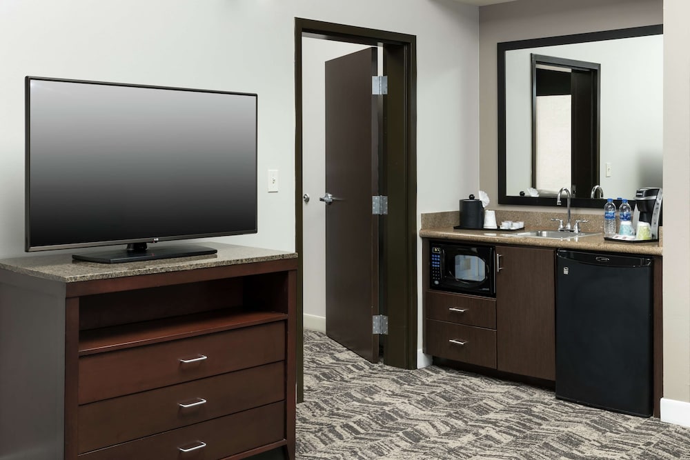 Hilton Garden Inn DFW North Grapevine - photo 21