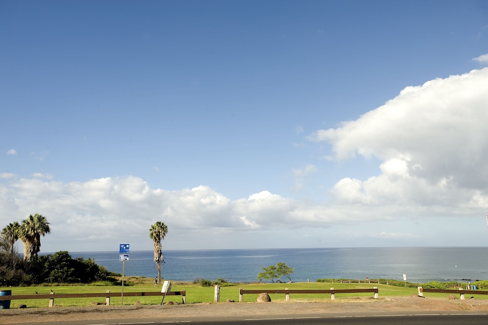 CRH Hale Kamaole - photo 43