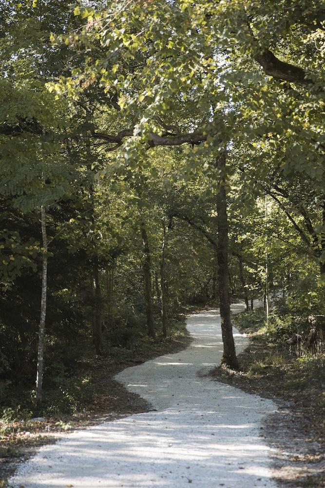 Chrysalide Saint Martin in Nerac, France