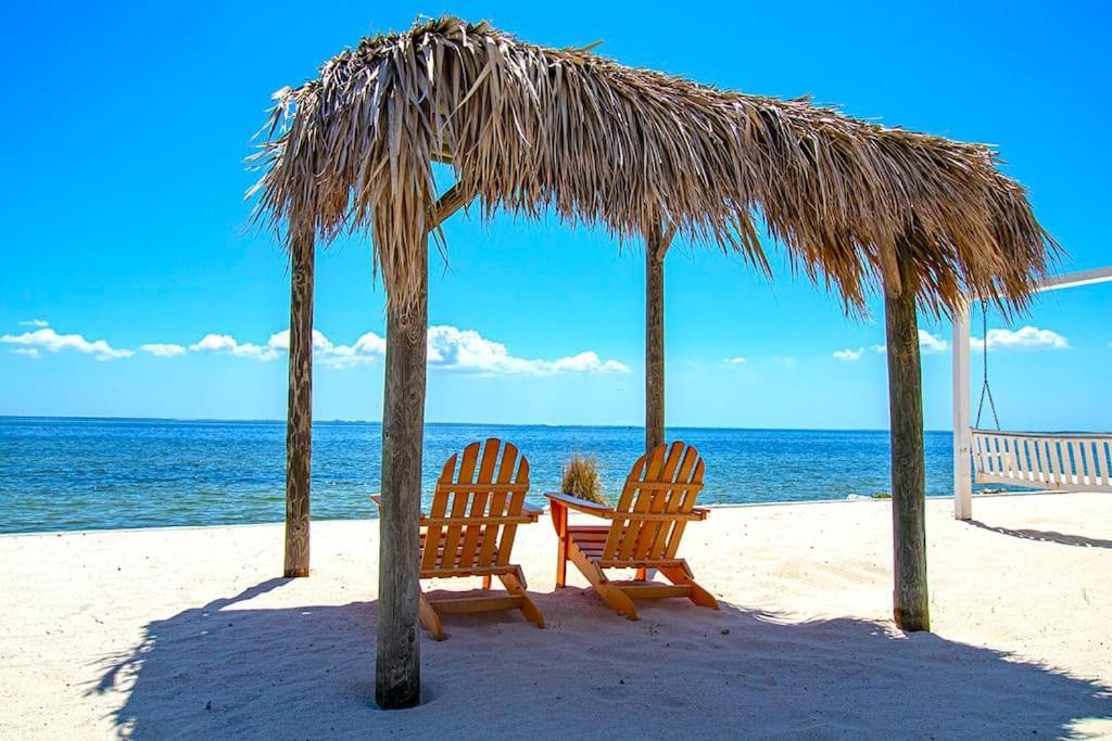 Tropical Serenity Water View Heated Pool Tiki Bar in Tampa, United States