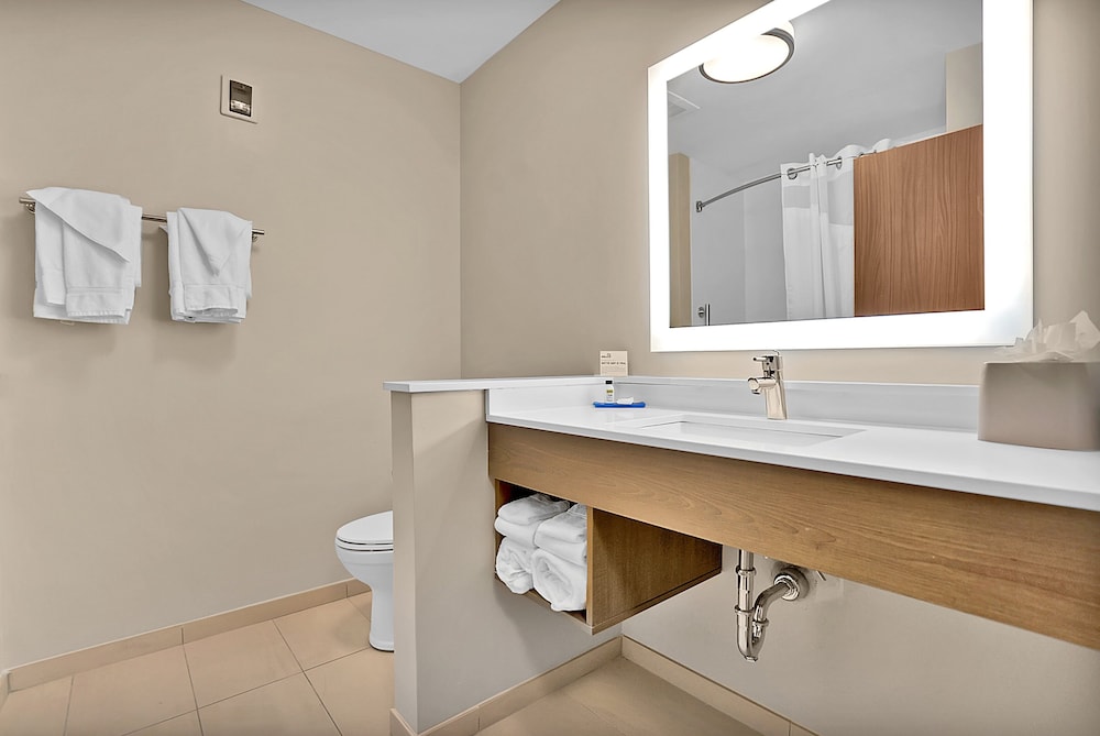 Holiday Inn Express Jacksonville South Bartram Prk - photo 29