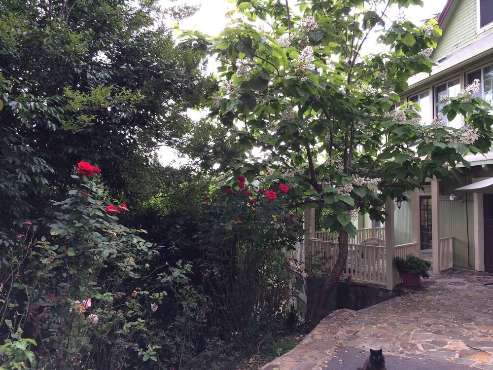Barretta Gardens Inn - photo 43