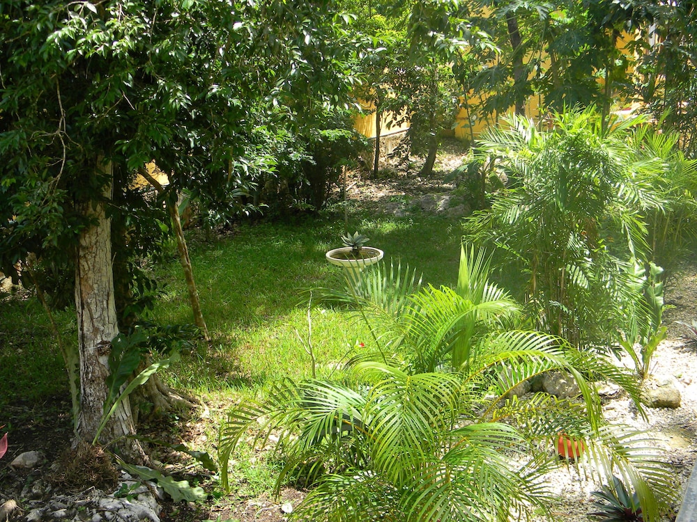 Hacienda Cobá — Coba — photo 4