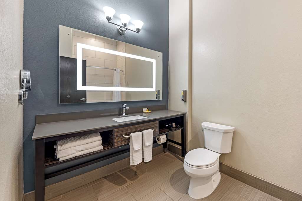 Best Western Plus Pflugerville - photo 24