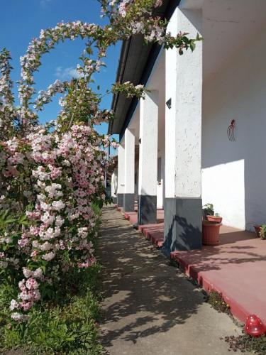 Szelid Tisza Valyog Vendeghaz Tiszafured in Tiszafured, Hungary