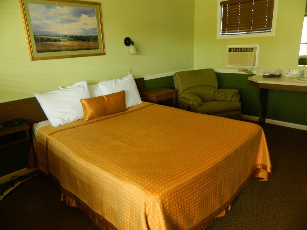 Country Motor Inn - photo 13