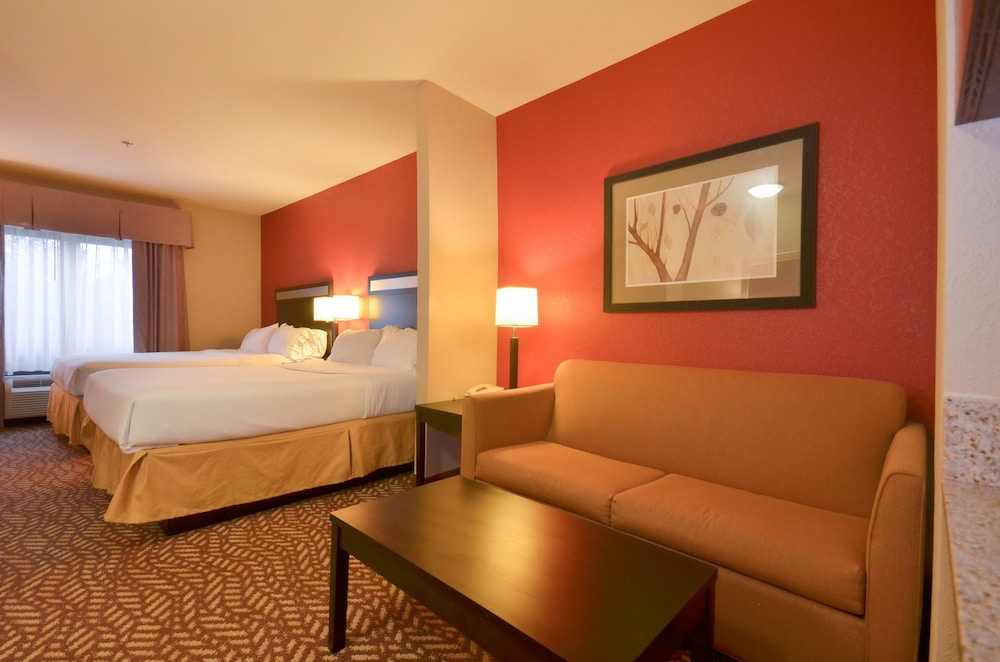 Holiday Inn Express Hotel & Suites Pine Bluff Pines Mall an IHG Hotel - photo 3
