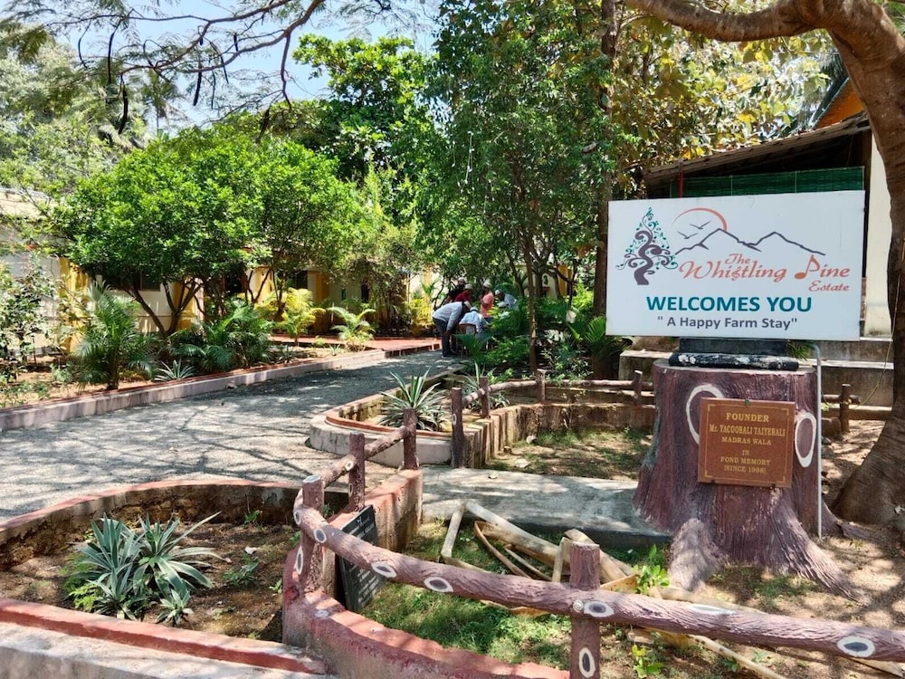 The Whistling Pine Woods - last minute hotel in Unknown City