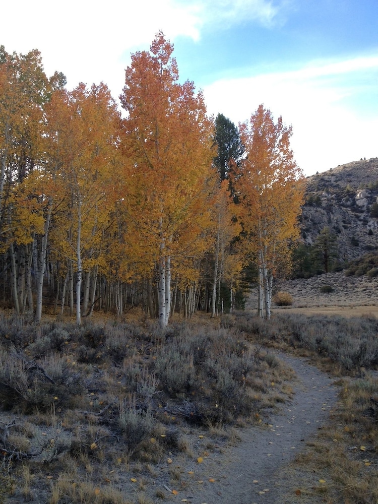 June Lake Villager - photo 121