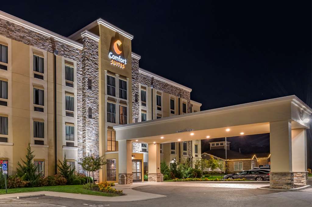 Comfort Suites Columbus Airport - photo 8