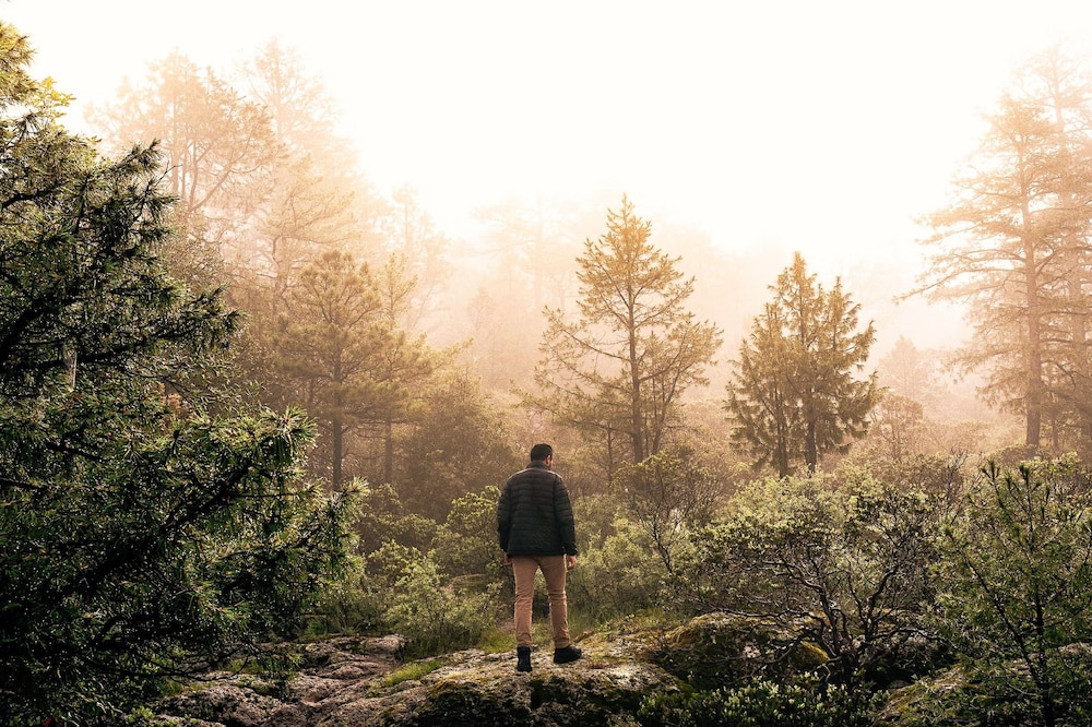 Hiking