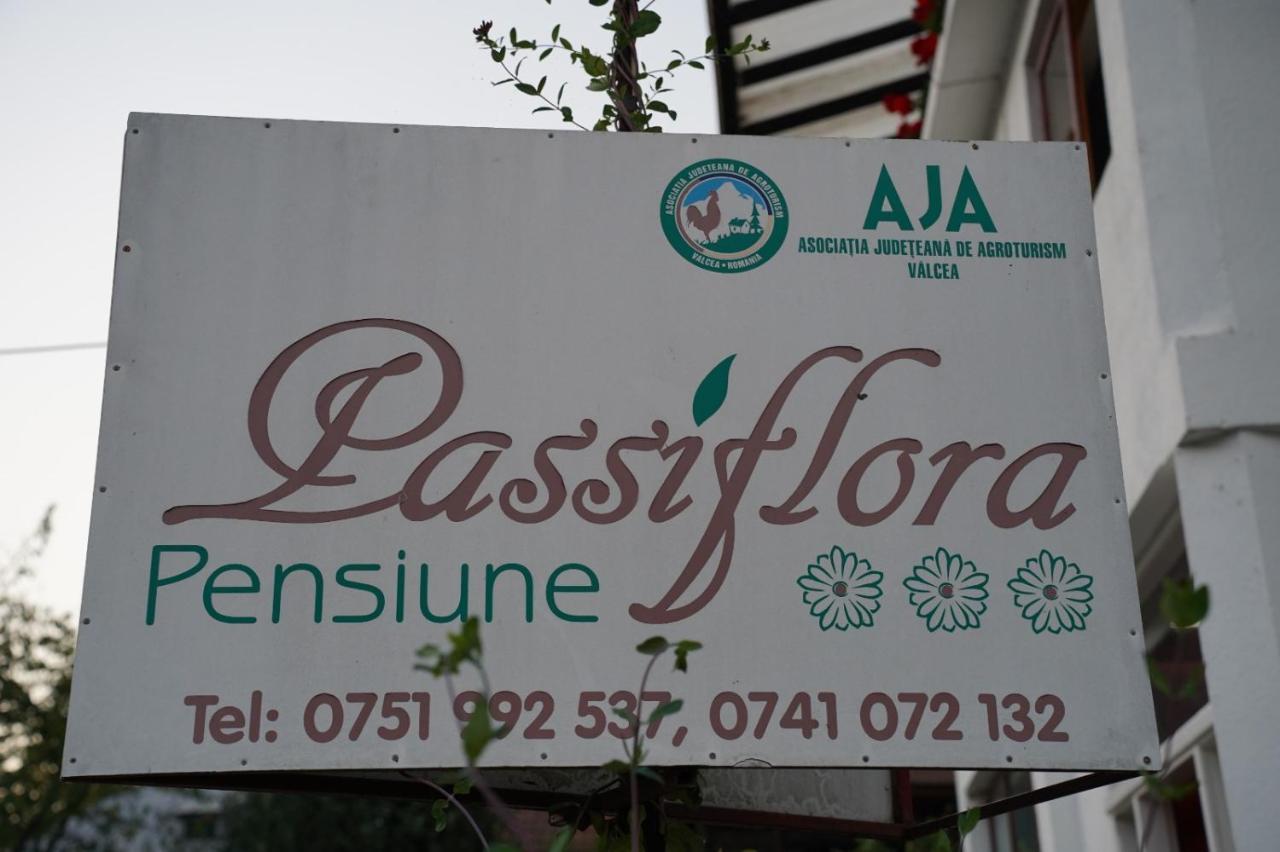 Passiflora — Voineasa — photo 3