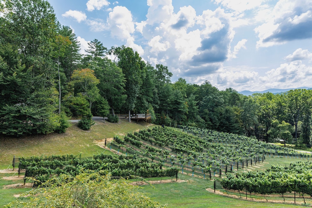 Paradise Hills Winery Resort & Spa - photo 294