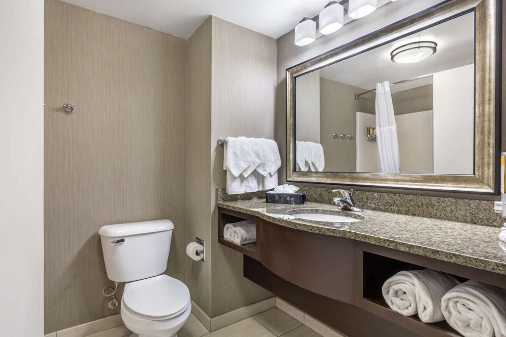 Comfort Inn & Suites Logan International Airport - photo 11