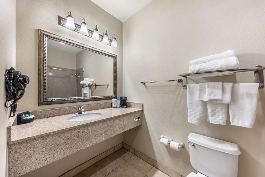 Best Western La Grange Inn & Suites - photo 18