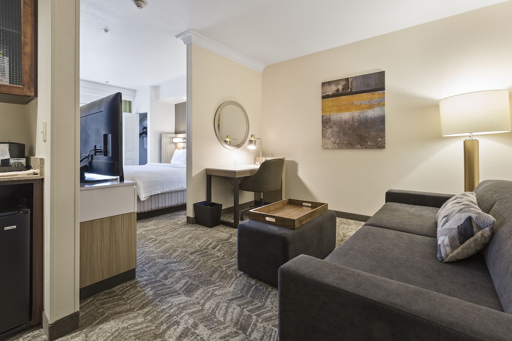 SpringHill Suites by Marriott Sacramento Natomas - photo 12