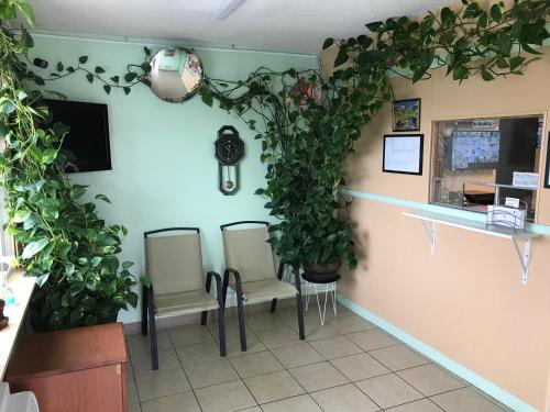 Quest Inn Motel - photo 10