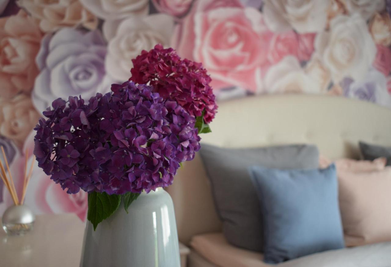 Apartment Rose Sasbachwalden — 4-Star Luxury Hotel in Sasbachwalden, Germany