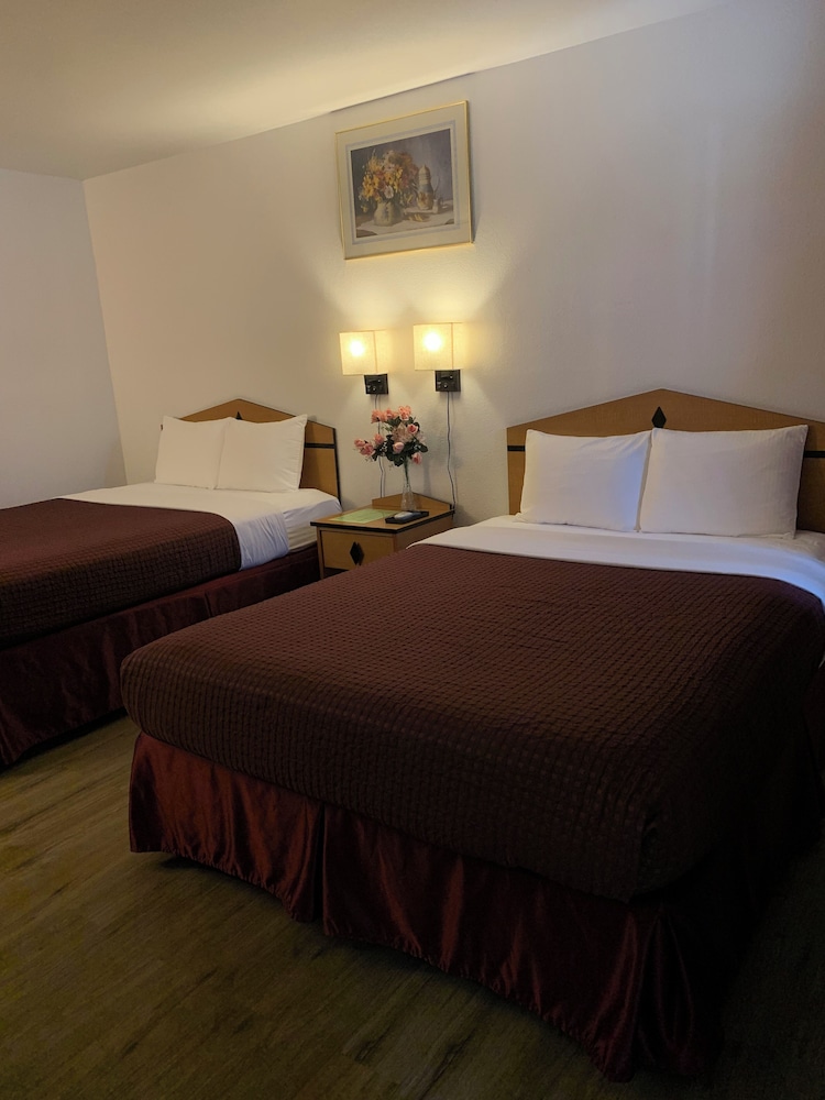 Motel 8 Willcox - photo 13