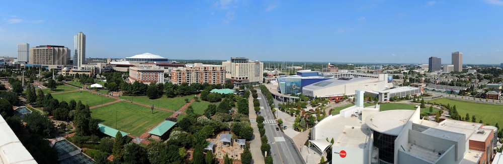 Hilton Garden Inn Atlanta Downtown - photo 74