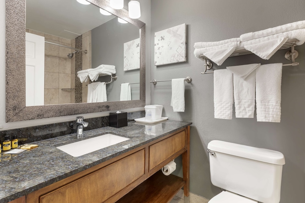 Best Western Plus Milwaukee West - photo 33