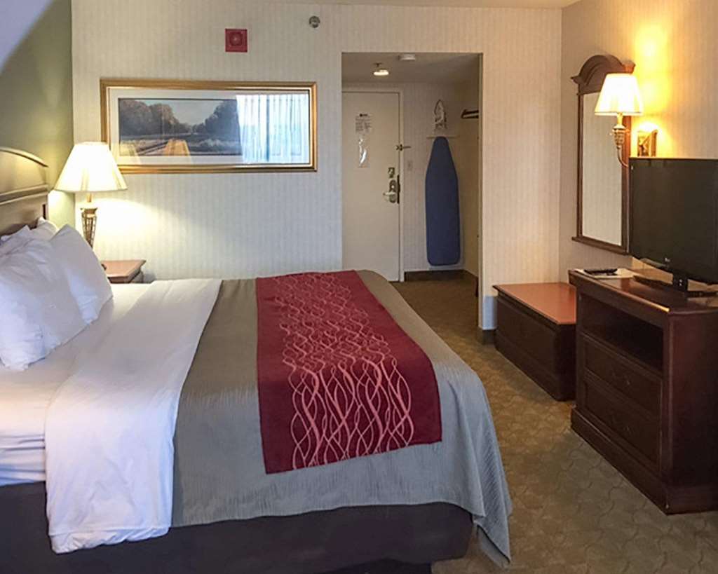 Comfort Inn Springfield - photo 8
