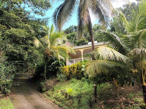 Martinique la Ptite Maison dans la colline — 4-Star Luxury Hotel in Le Lamentin, Martinique