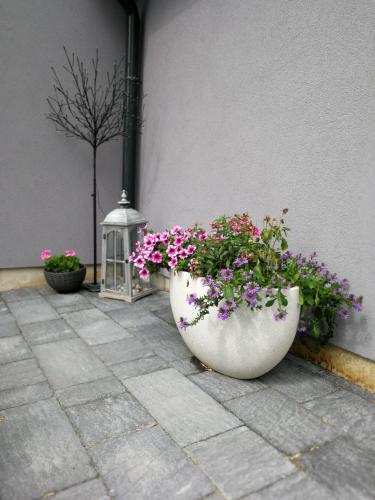 Zsinkó Villa — Pecs — photo 2
