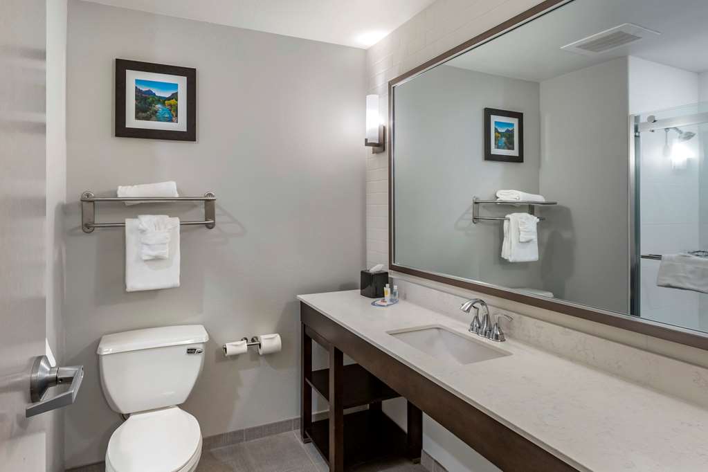 Comfort Inn & Suites Salt Lake City Airport - photo 61