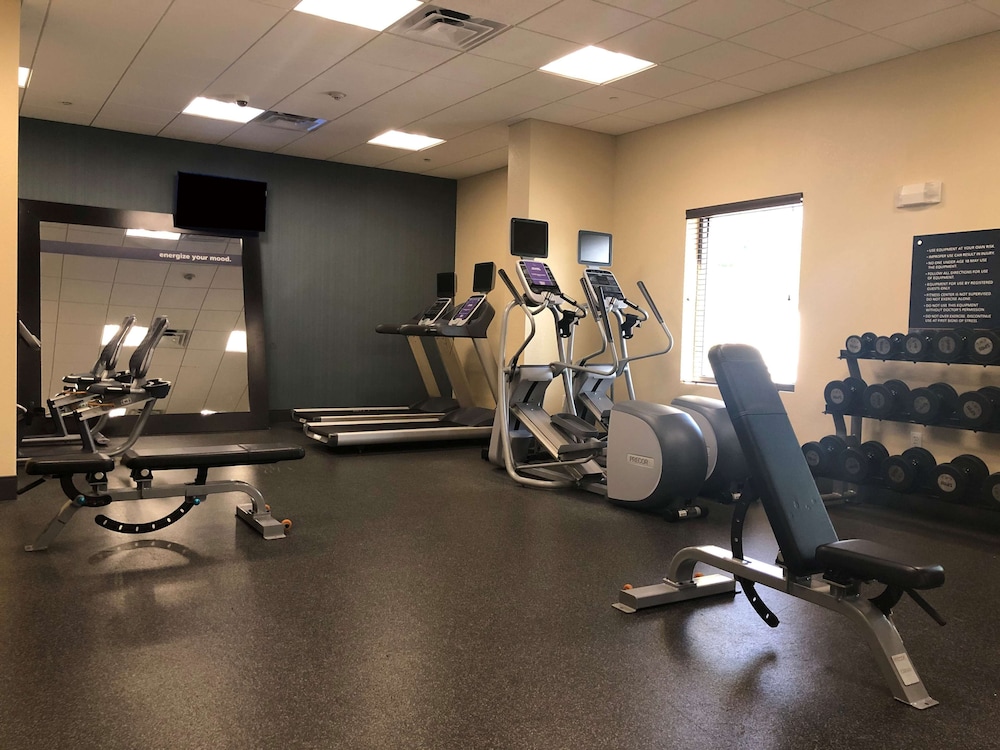 Hampton Inn & Suites Tampa Northwest Oldsmar - photo 26