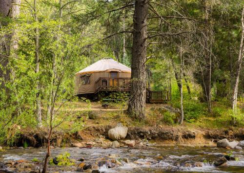 Yosemite Lakes River Yurt 22 - photo 6