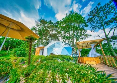Wallaby Glamping — hotel in Silvania