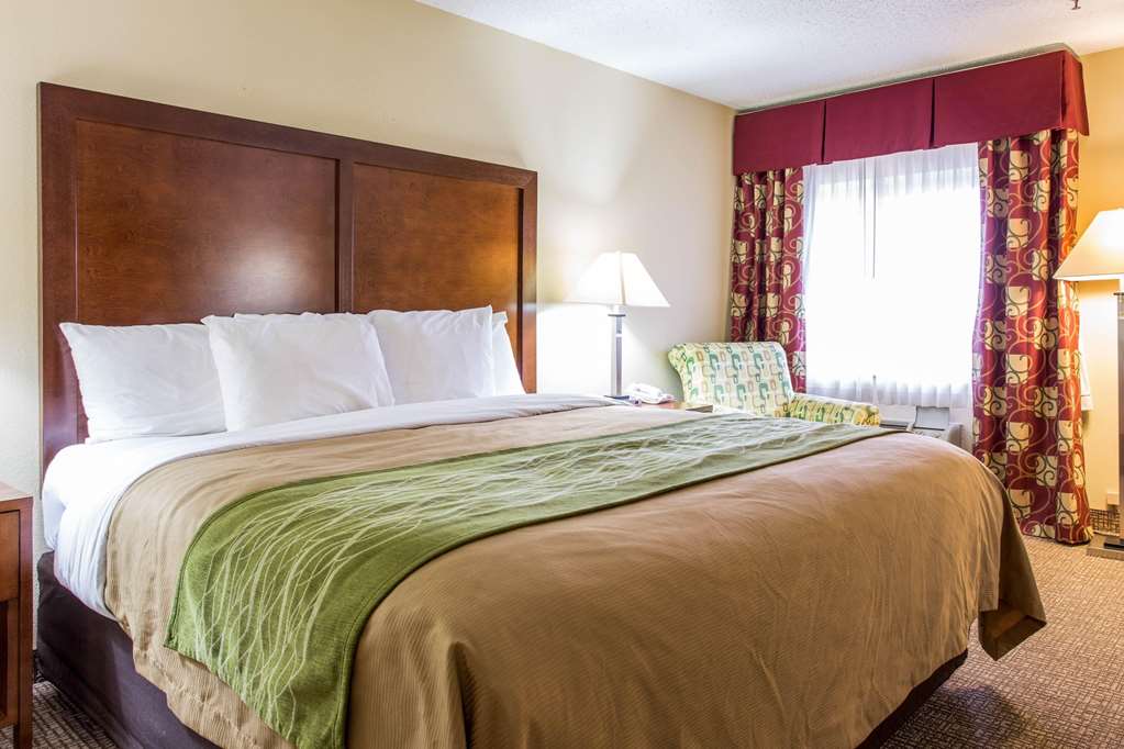 Comfort Inn Columbia West - photo 24