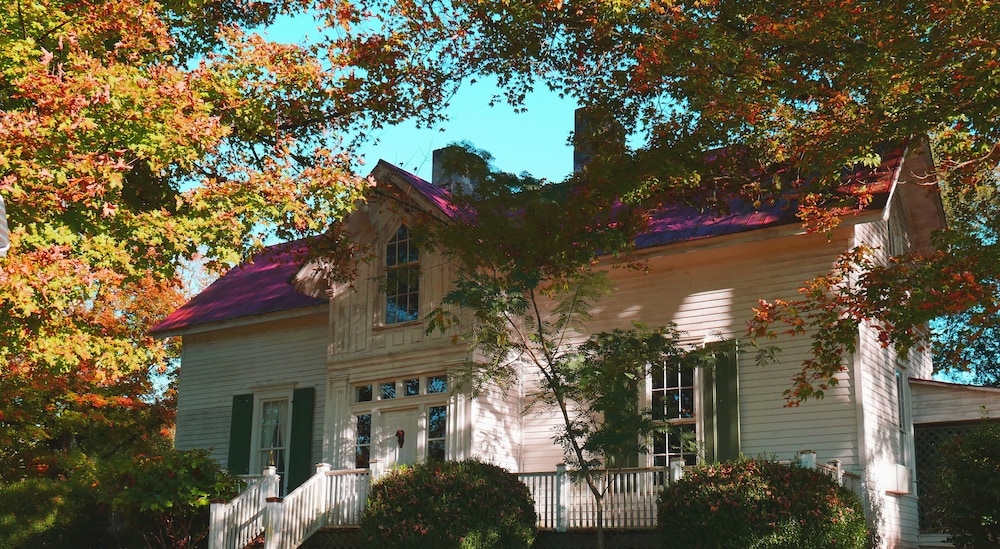 Mulberry Lavender Farm and B&B - photo 40