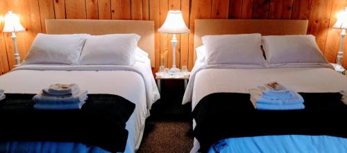 Pine Hill Arms Hotel — hotel in Pine Hill