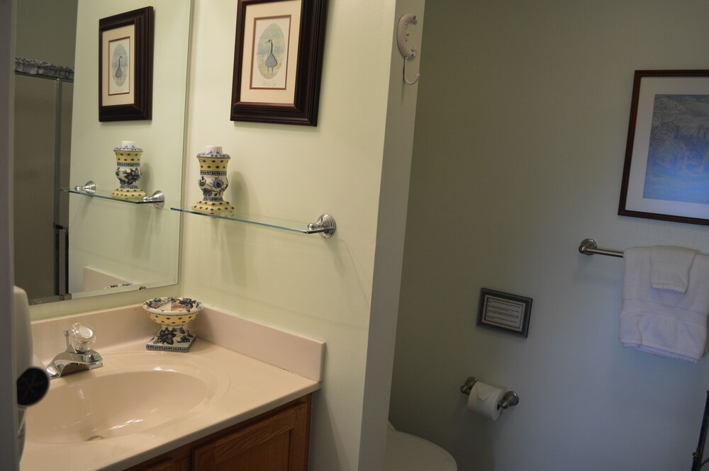 Bald Mountain House Inn at the Wolf Laurel Resort - photo 18
