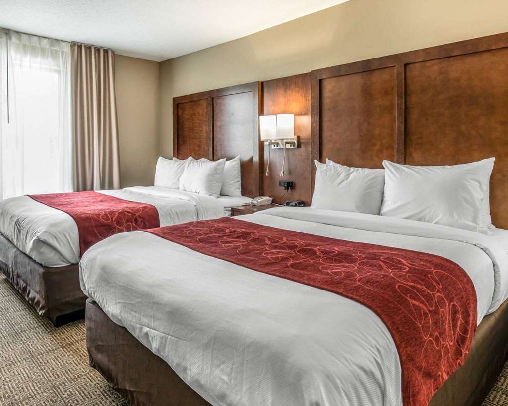 Comfort Suites Dunnellon near Rainbow Springs - photo 16