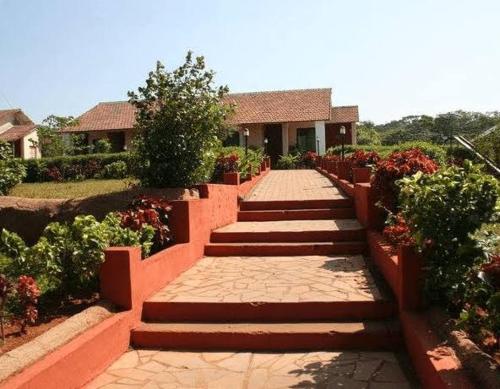 Green Valley Amboli in Arambol, India