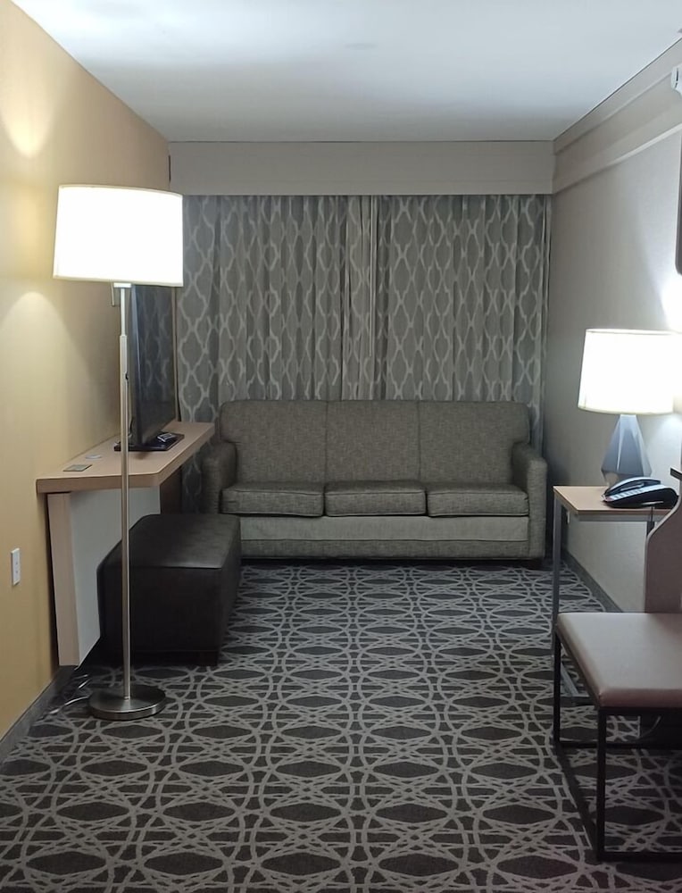 Holiday Inn McAllen Medical Center Area an IHG Hotel - photo 17