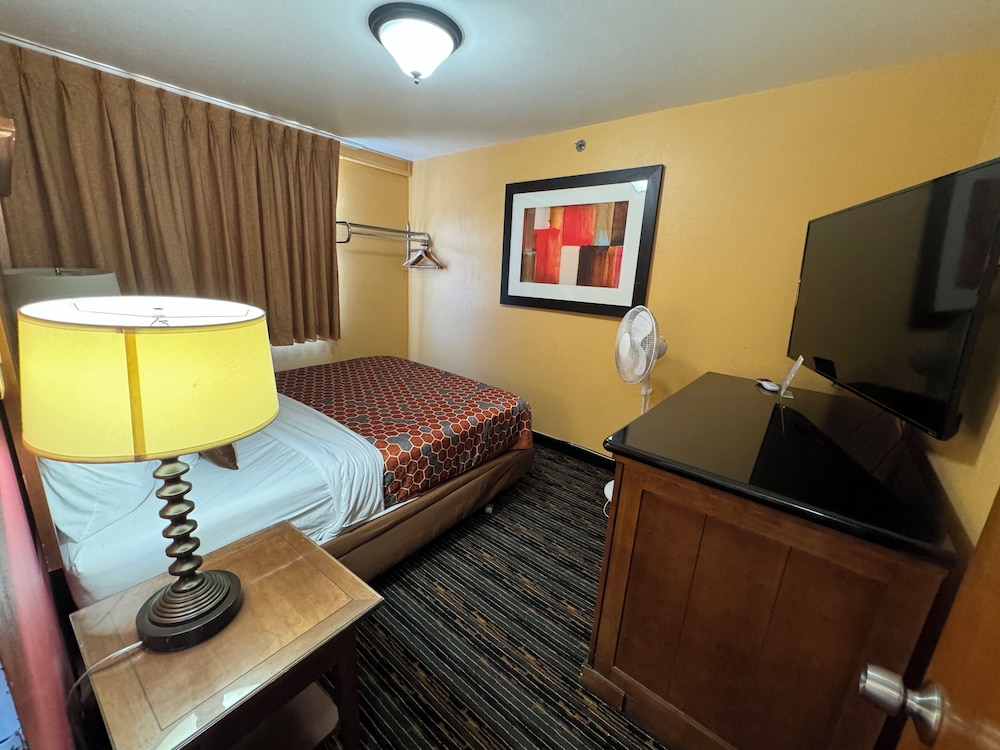 The Royal Victorian Motel - photo 28
