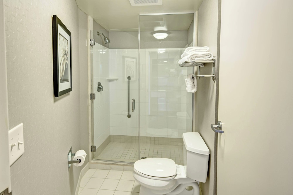 Springhill Suites by Marriott New Bern - photo 16