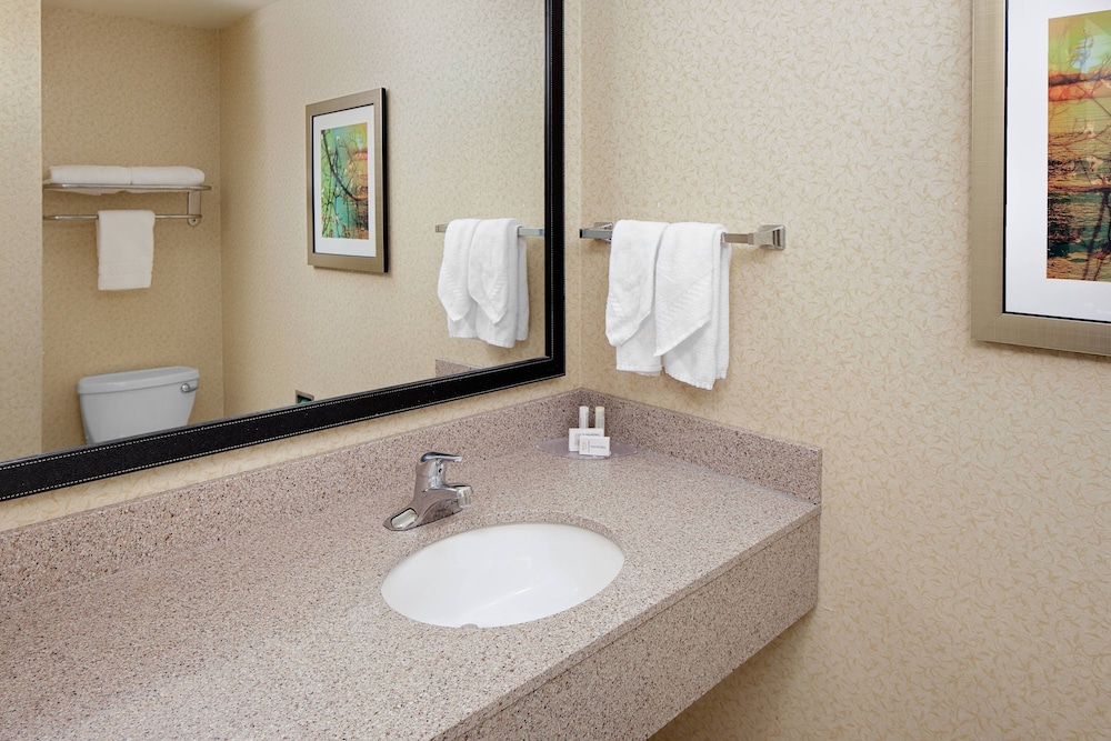 Fairfield Inn & Suites by Marriott Detroit Metro Airport Romulus - photo 12