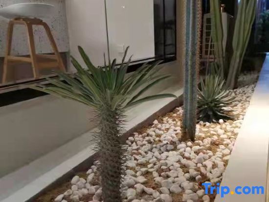 Nanping Hotel Xi’anbo China in Yisa, People's Republic of China