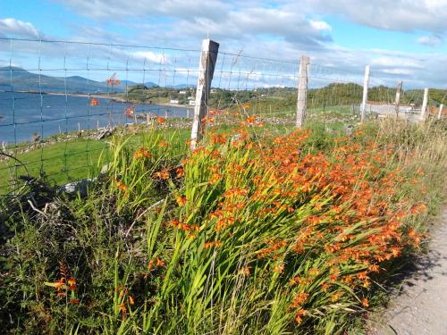 Betty's Cottage — 4-Star Luxury Hotel in Cill Airne, Republic of Ireland